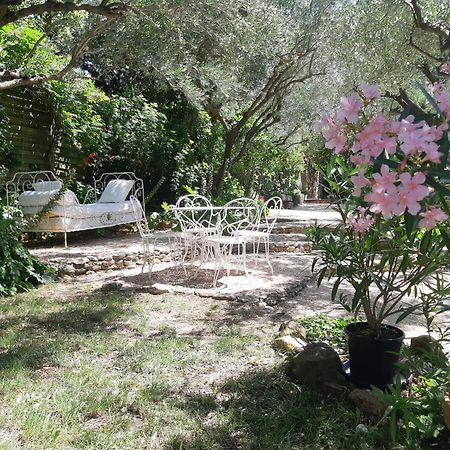 Mas Luis Alvarez La Capelle-et-Masmolene Dış mekan fotoğraf
